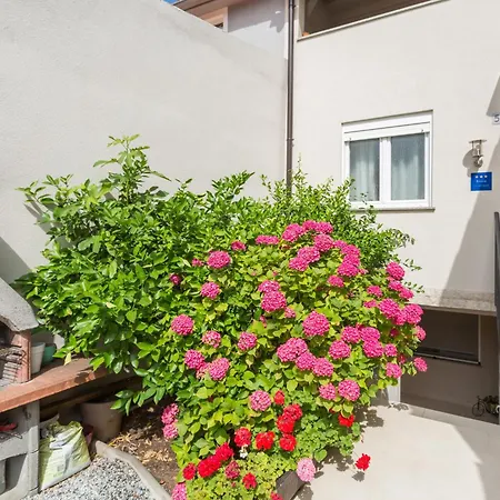 Apartment Lena Pula
